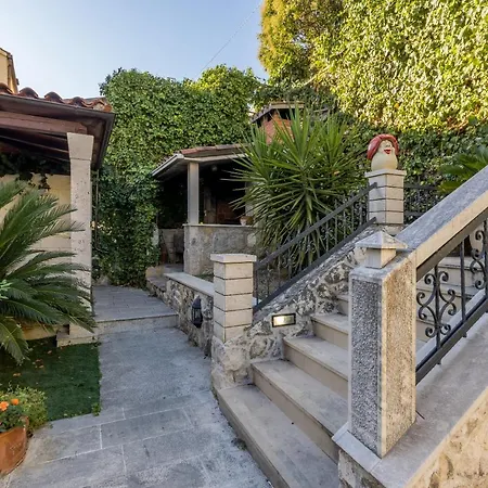 Soul House Pola سبليت